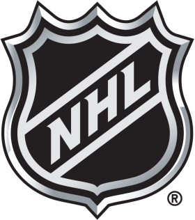 (image for) National Hockey League 2005-Pres Primary Logo iron on DTF transfer