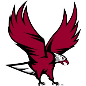 NCCU Eagles 2006-Pres Partial Logo iron on DTF transfer