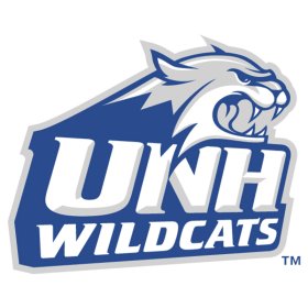 New Hampshire Wildcats 2000-Pres Primary Logo iron on DTF transfer