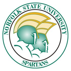 Norfolk State Spartans 2005-Pres Primary Logo iron on DTF transfer