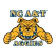 North Carolina A&T Aggies 2006-Pres Primary Logo iron on DTF transfer