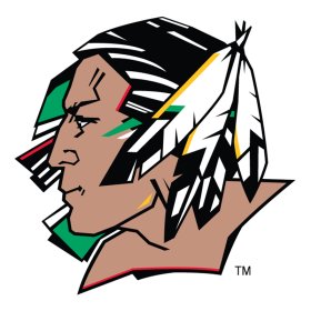 North Dakota Fighting Sioux 2007-2011 Primary Logo iron on DTF transfer