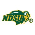 North Dakota State Bison 2012-Pres Primary Logo iron on DTF transfer