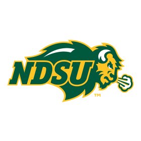 North Dakota State Bison 2012-Pres Primary Logo iron on DTF transfer