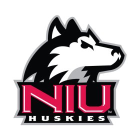 Northern Illinois Huskies 2001-Pres Primary Logo iron on DTF transfer