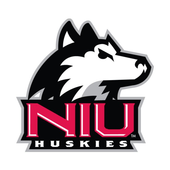 (image for) Northern Illinois Huskies 2001-Pres Primary Logo iron on DTF transfer