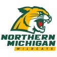 Northern Michigan Wildcats 2016-Pres Primary Logo iron on DTF transfer