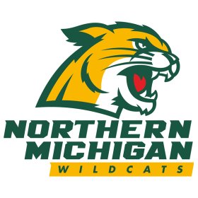 Northern Michigan Wildcats 2016-Pres Primary Logo iron on DTF transfer