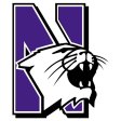 Northwestern Wildcats 1981-Pres Primary Logo iron on DTF transfer