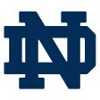 Notre Dame Fighting Irish 1964-Pres Primary Logo iron on DTF transfer
