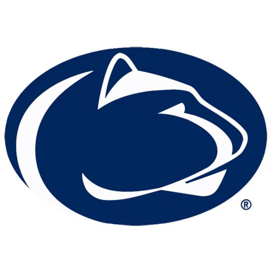 (image for) Penn State Nittany Lions 2005-Pres Primary Logo iron on DTF transfer