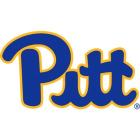 Pittsburgh Panthers 2019-Pres Primary Logo iron on DTF transfer