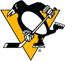 Pittsburgh Penguins 2016-Pres Primary Logo iron on DTF transfer