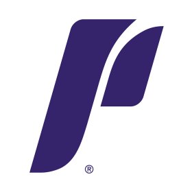 Portland Pilots 2014-Pres Primary Logo iron on DTF transfer