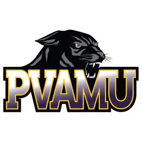 Prairie View A&M Panthers 2016-Pres Primary Logo iron on DTF transfer