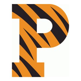 Princeton Tigers 1984-Pres Primary Logo iron on DTF transfer