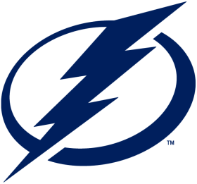 Tampa Bay Lightning 2011-Pres Primary Logo iron on DTF transfer