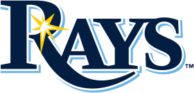 (image for) Tampa Bay Rays 2019-Pres Primary Logo iron on DTF transfer
